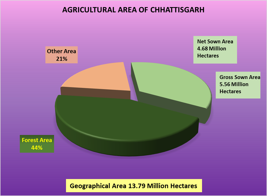 Agricultural Area of Chhattisgarh